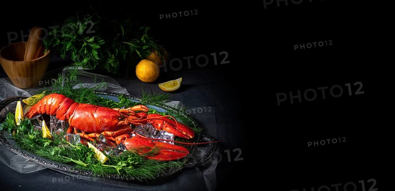 The cooked lobster on ice