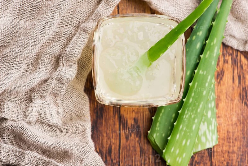 Glassware with fresh aloe vera juice and leaves