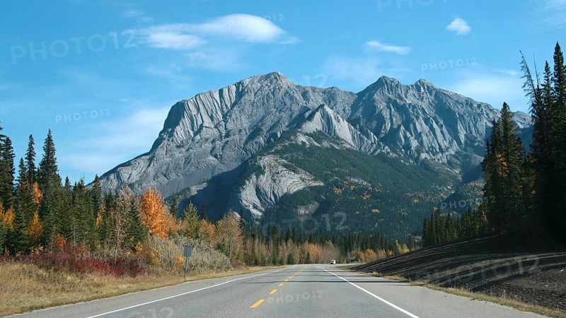 Motorway