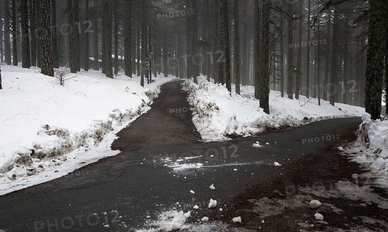 Winter forest landscape with mountain covered in snow and empty frozen road. Troodos mountains in Cyprus