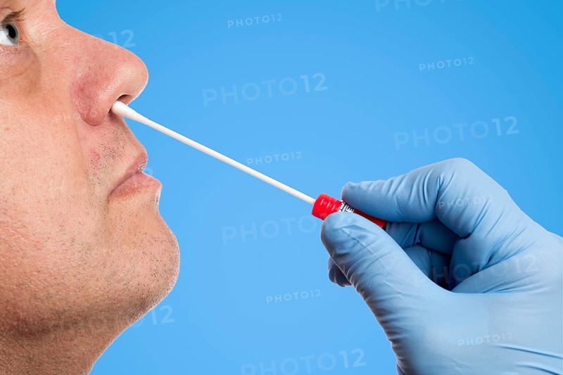 Doctor performs a nasal swab test with a cotton swab