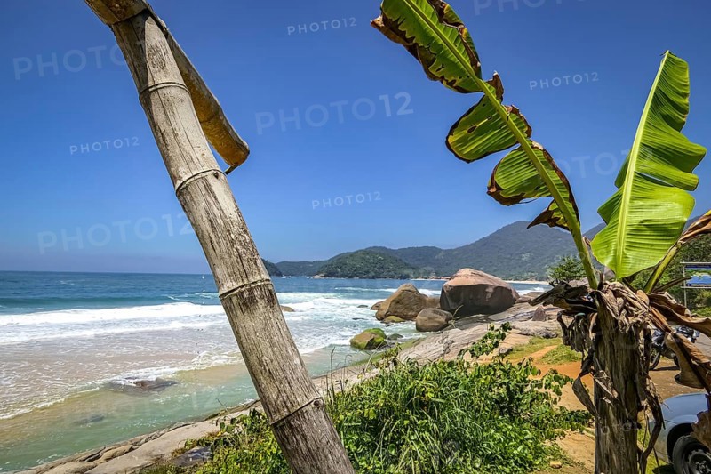 View along beautiful coastline with beach and rock slabs plants in foreground, Picinguaba, Brazil, South America
