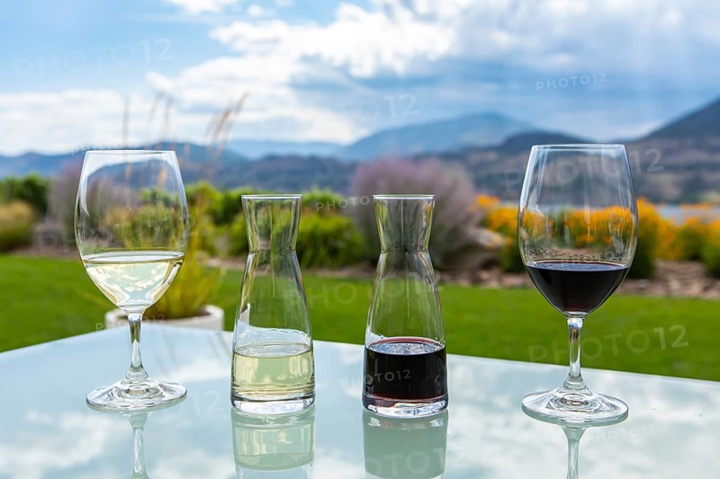 Small decanters and glasses filled with red and white wines on a glass table, wine tasting stemware against a garden grass mountain view background