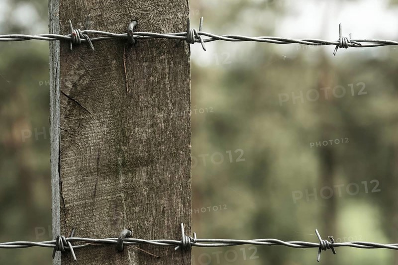 Barbed wire on a wooden post