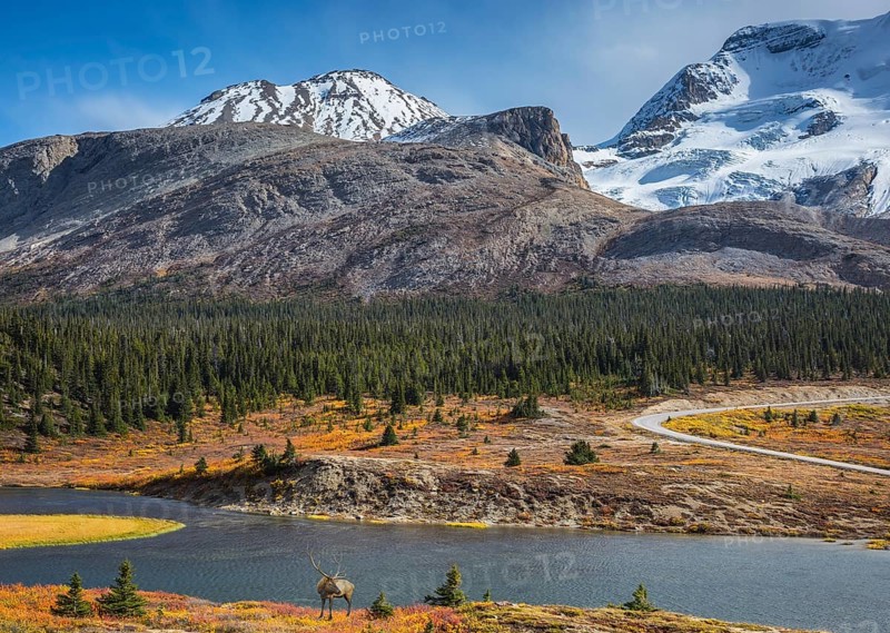The magnificent Rocky Mountains in Canada. Lake from the melting of huge glaciers. Beautiful deer antlered