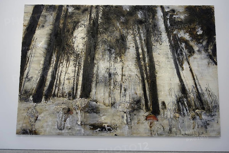 Würth Museum 2, Large mural of a monochrome forest with a mysterious effect, Carmen Würth Forum, Gaisbach, Künzelsau, Baden-Württemberg, Germany, Europe