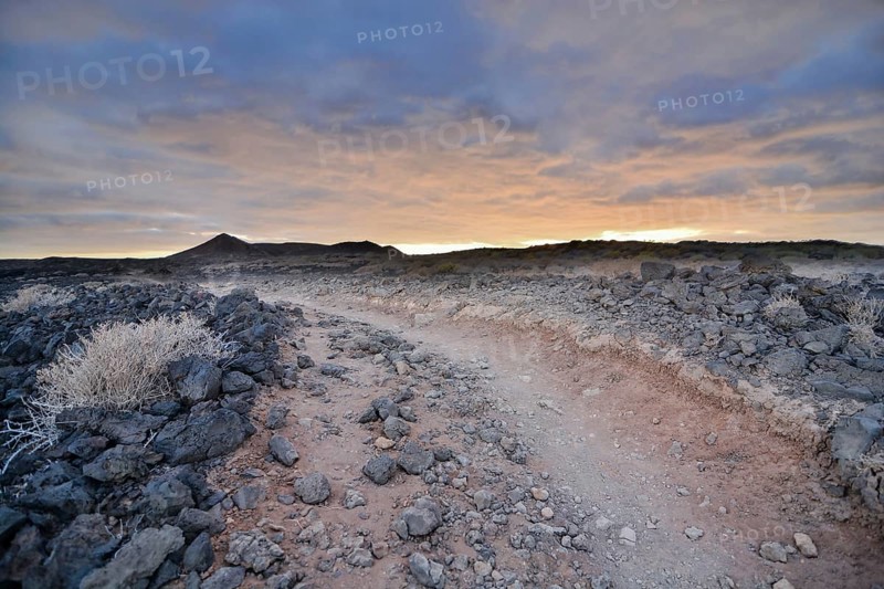 Photo Picture of a Dirt road leading off into the desert