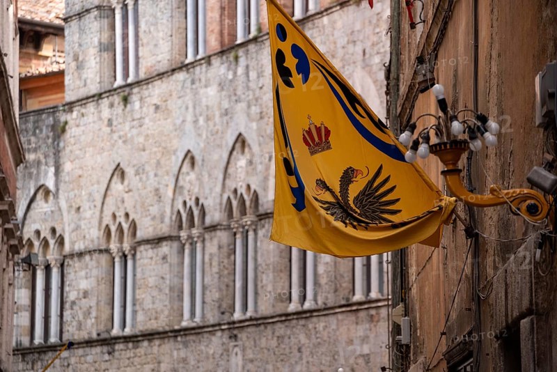 Contrade flags of the Aquila-Eagle district hanging in a street of downtown Siena, Italy, Europe