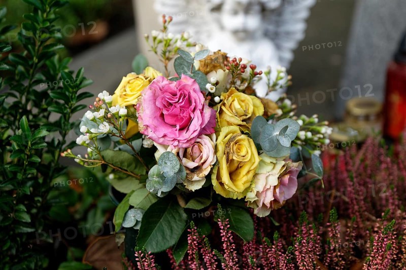 Withered pastel-coloured roses lie on a grave, a white angel in the blurred background