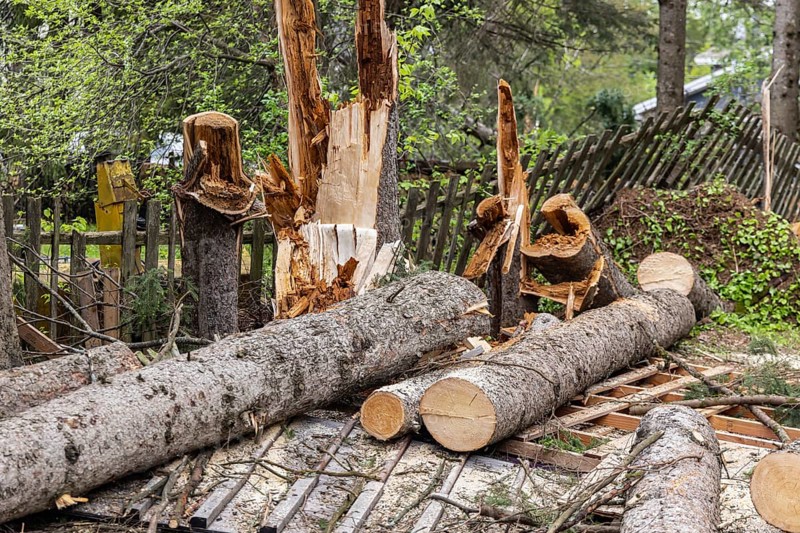 Devastation in a small village after a powerful storm with hurricane strength winds bring down trees and destroy fences. Copy space on both sides