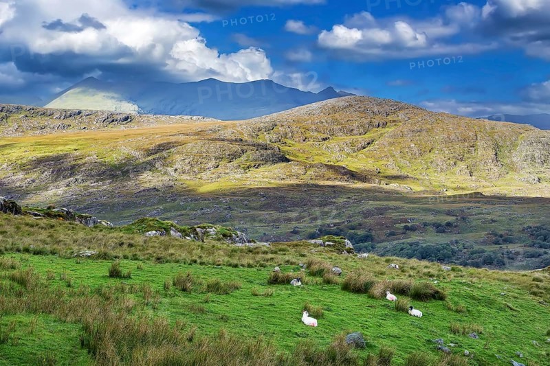 Mountain Landscape in Ring of Kerry, Ireland, Europe