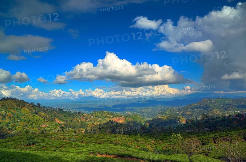 Beautiful mountain landscape with tea plantation in Sri Lanka