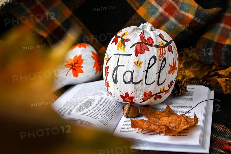Beautiful painted autumn pumpkins. FALL writing on pumpkin. Autumn harvest. DIY. Autumn leaves season sweater cozy, hygge home decoration. Book