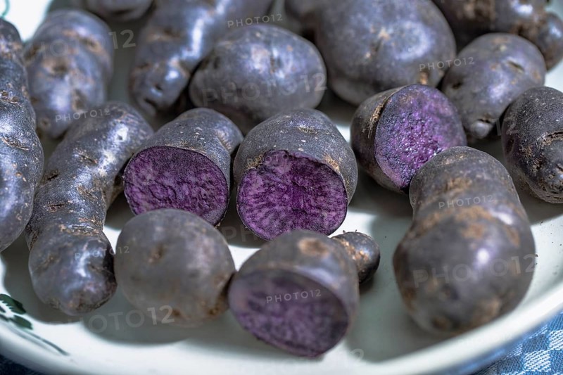 Truffle potato, Vitelotte, blue-violet potatoes in a nostalgic bowl