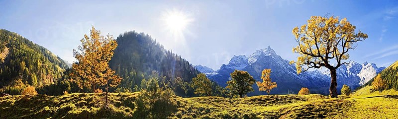 Autumn in the large maple floor in the Karwendel, Tyrol, Austria Autumn in the large maple floor in the Karwendel, Tyrol, Austria, Europe
