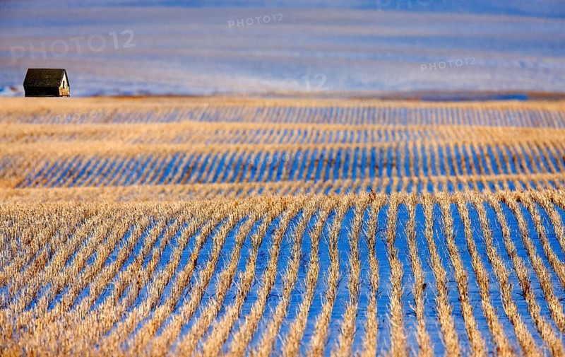 Prairie Landscape in Winter Saskatchewan Canada rural