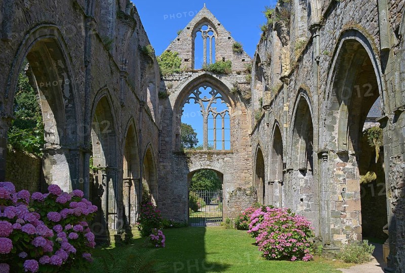 Abbay de Beauport, Innereder church, ruin, Hortensja