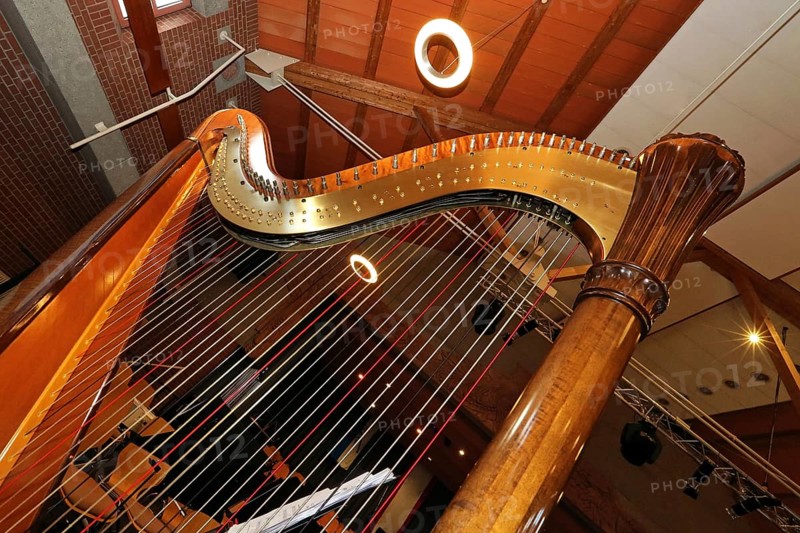 Harp
