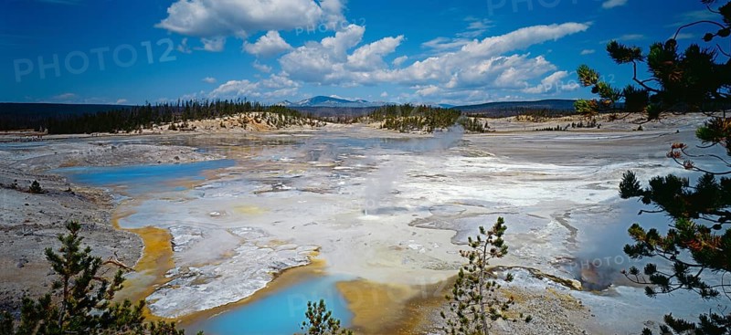 Yellowstone National Park, Norris Geyser Basin, Wyoming, USA, North America