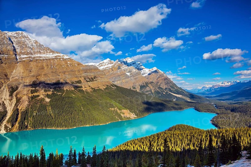 Turquoise water and the shape of lake in form of a wolf's head are popular with tourists. Picturesque Lake Peyto in Banff National Park