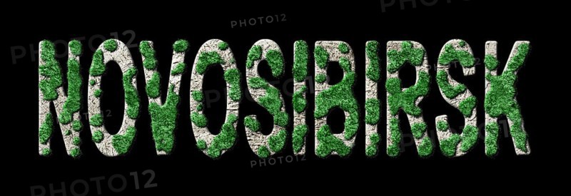 Novosibirsk Reforestation and Biophilia, Novosibirsk Green Typography