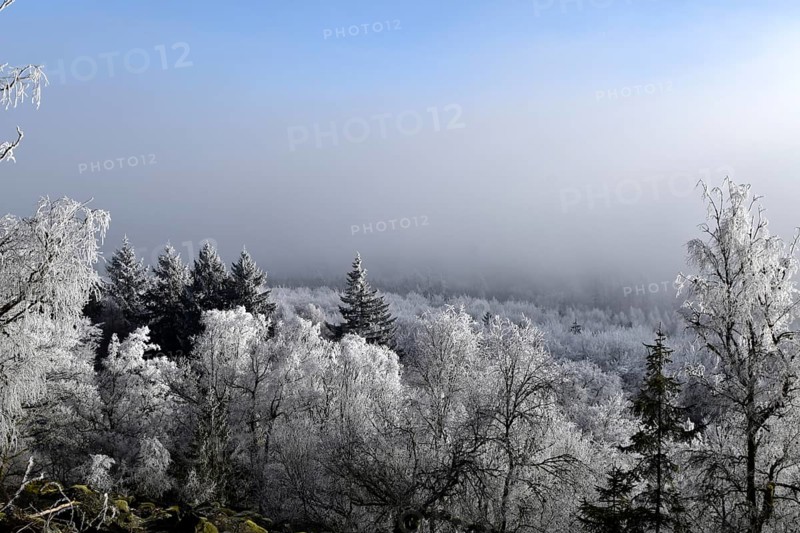View from the summit ridge of the Mörschieder Burr in the Hunsrück-Hochwald National Park with rocks and hoarfrost on the trees on a sunny day with fog in the valley, Rhineland-Palatinate, Germany, Europe