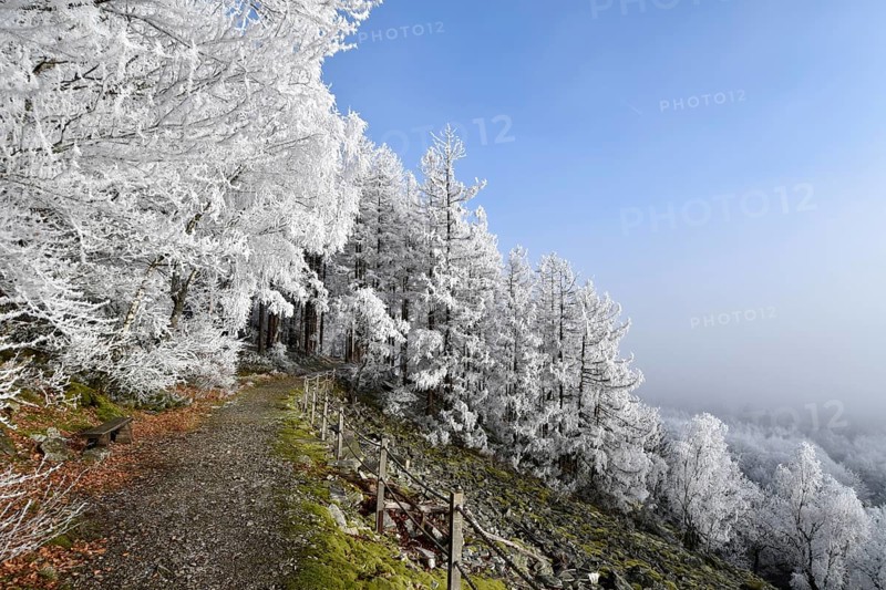 Hiking trail along the Mörschieder Burr in the Hunsrück-Hochwald National Park with hoarfrost and sun, Rhineland-Palatinate, Germany, Europe