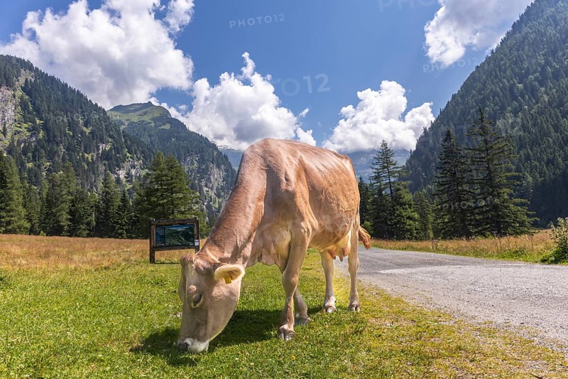 Impressions from Mallnitz Hohe Tauern National Park Seebachtal