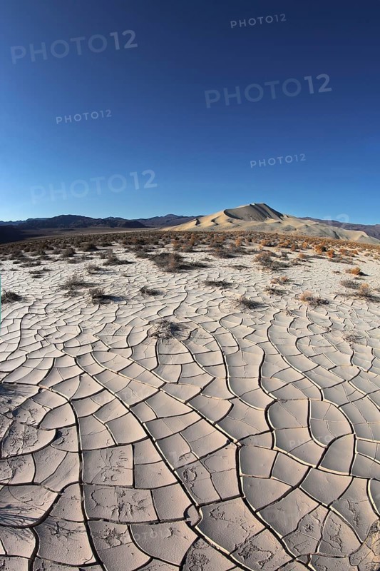 Dawn in Death Valley. Dry brush on white cracked soil. Rhotograph Fisheye lens