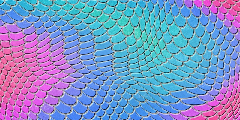 Blue pink mermaid scales, fish scale, Fantasy texture