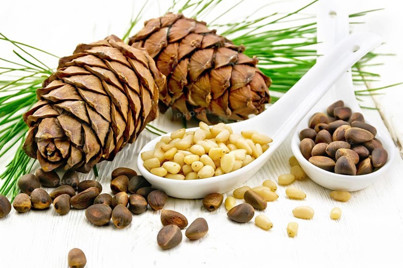 Cedar nuts in two spoons, two pinecones and green branches on a light wooden board background