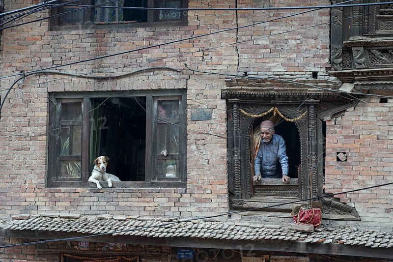Residential building collapsed, earthquake, kathmandu, nepal, asia