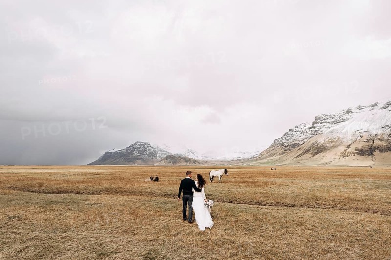 Wedding couple in after with horses. The groom hugs the bride. Destination Iceland wedding photo session with Icelandic horses