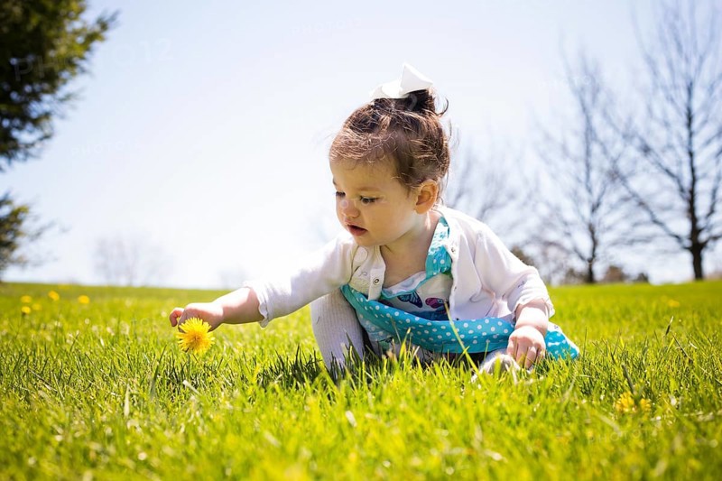 Pretty little girl playing in the grass during summer, Toronto, Canada, North America