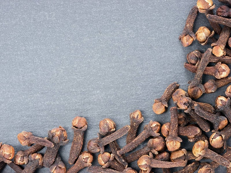 Cloves spice on gray slate background with copy space. Isolated one edge. Top view or flat lay