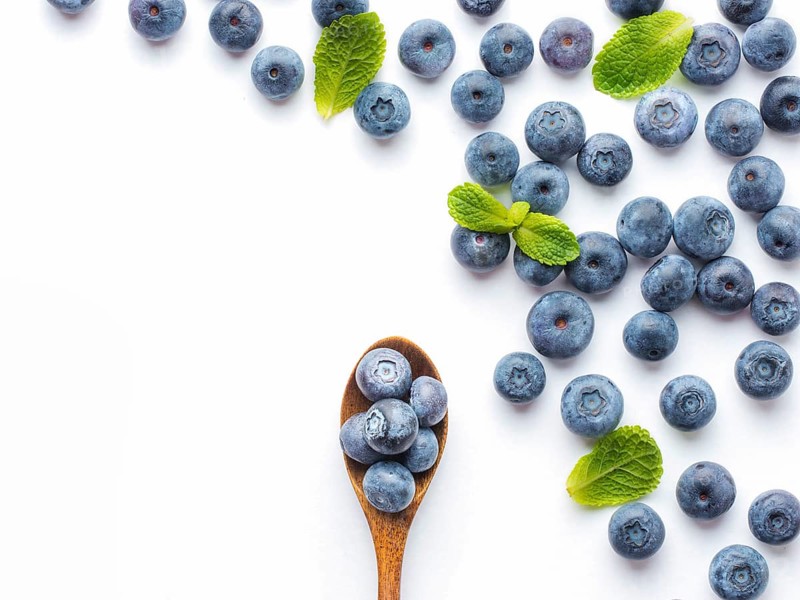 Blueberries isolated on white background. Blueberry border design. Ripe and juicy fresh picked bilberries close up. Copyspace. Top view or flat lay