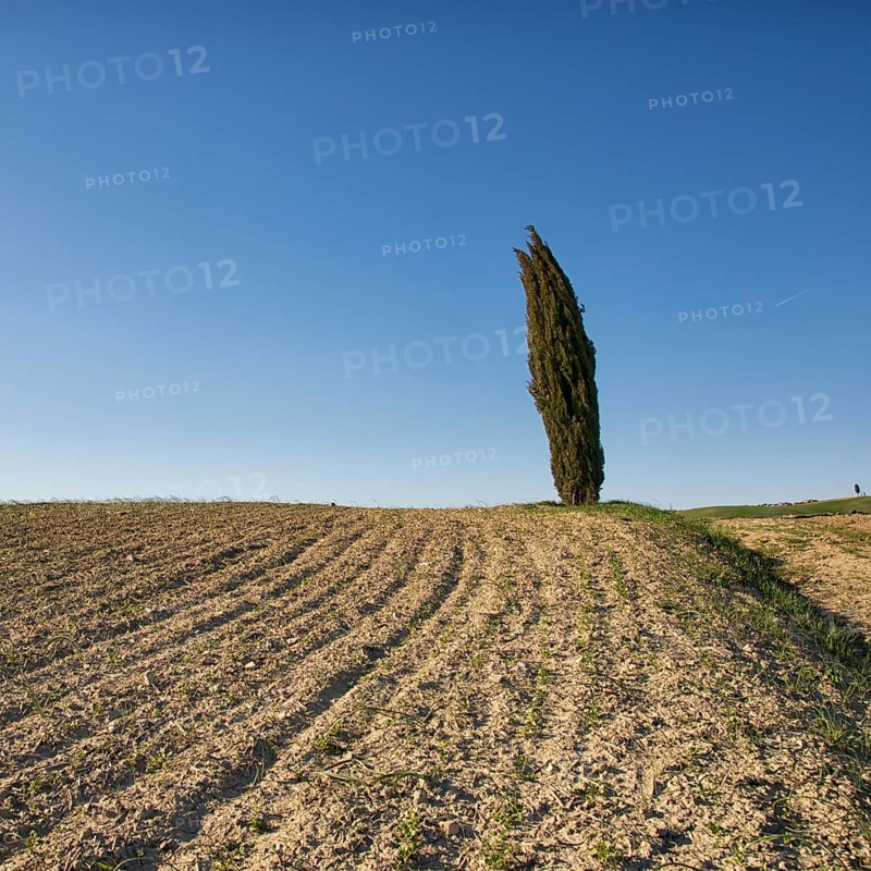 The Crete Senesi are one of the most famous areas of Tuscany