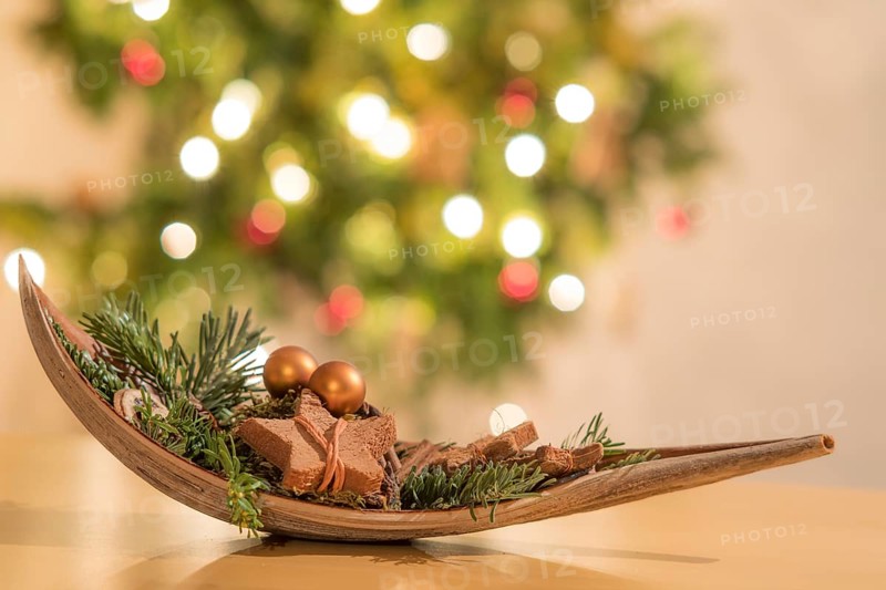 Christmas decoration in a nutshell in front of a Christmas tree with burning lights