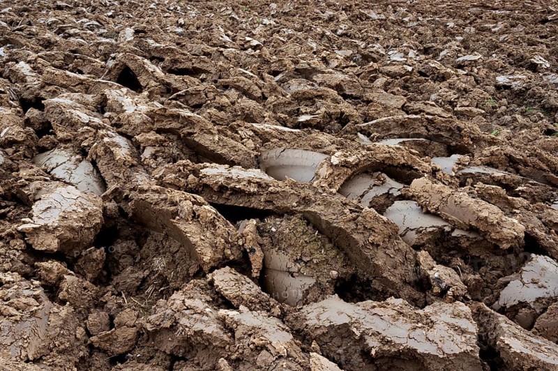 Ploughed field, clods of earth