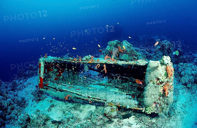 Jacque Cousteau's shark cage, Sudan, Africa, Red Sea, Shaab Rhumi, Africa