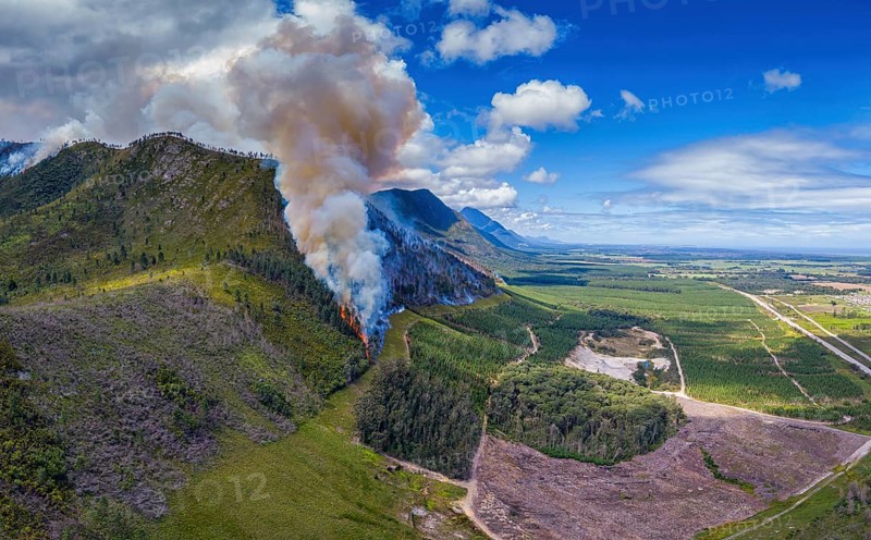 Landscape in South Africa, forest fire, fire, smoke, flames, burning forest, N2, Kou-Kamma Ward 6, Thornham, Kou-Kamma Local Municipality, Eastern Cape, South Africa, Africa