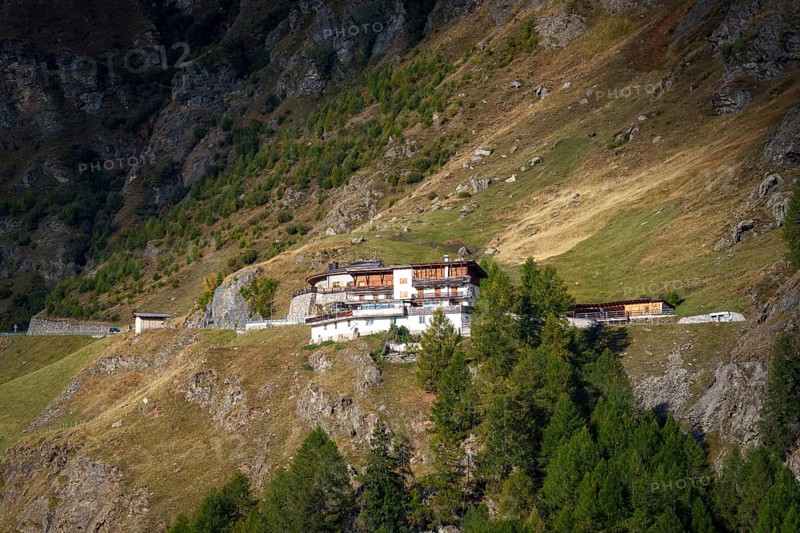 Mountain hut on a grassy slope, surrounded by forest and mountains, sunny day, moss in Passeier, South Tyrol, Italy, Europe