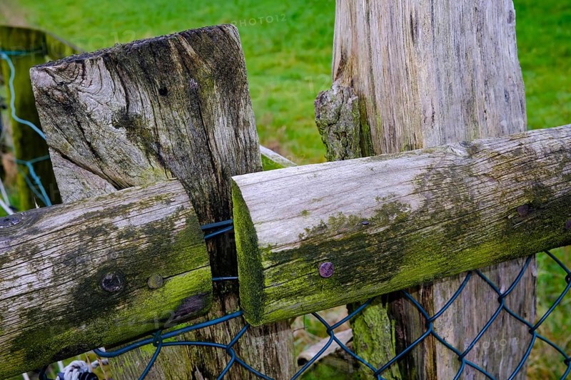Close-up of a rustic wooden fence with moss and metal wire in a rural landscape