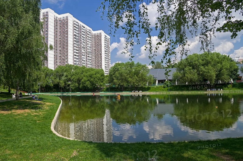 Moscow, Russia, Jume 15, 2021: Small Konkovsky pond. South-Western Administrative District of Moscow, Russia. Sunny day in mid-June, Europe