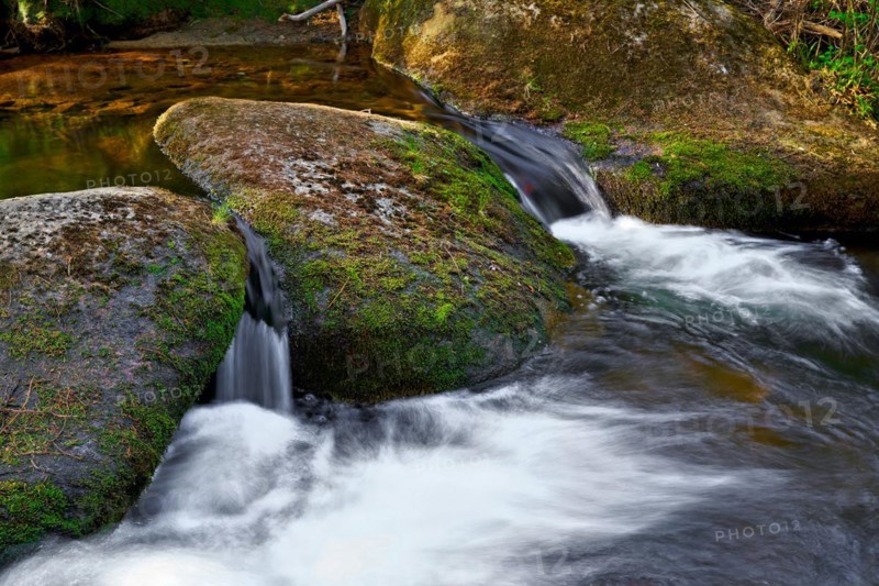 The idyllic river Kalte Bode near Schierke in the Harz National Park