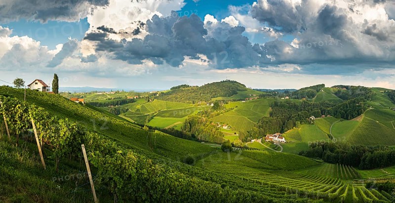 Vineyard panorama on an Austrian countryside, Styrian Tuscany. Wine road through south. Stormy summer weather