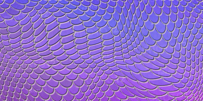 Violet mermaid scales, fish scale, Fantasy texture