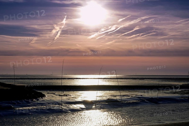 Atmospheric picture of moonlight on water with pastel-coloured sky and calm atmosphere, Dorum-Neufeld harbour 27639 Wurster North Sea coast, Germany, Europe