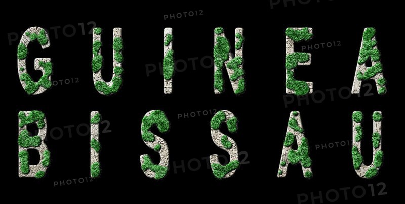 Guinea Bissau Reforestation and Climate Message, Sustainable Green Typography, Green Agenda