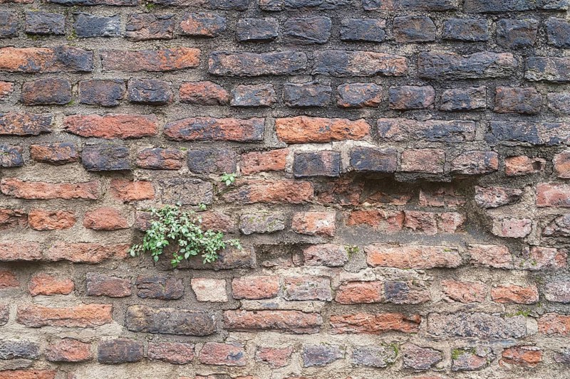 Old Roman city wall in Cologne, close-up, Cologne, Germany, Europe